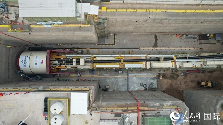 質(zhì)構(gòu)機(jī)全景。陳露明攝