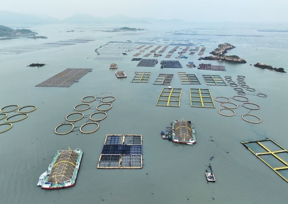 在福建連江定海灣海域，坐落著“定海灣1號(hào)”“定海灣2號(hào)”等深遠(yuǎn)海養(yǎng)殖平臺(tái)（2024年5月7日攝，無(wú)人機(jī)照片）。新華社記者 林善傳 攝