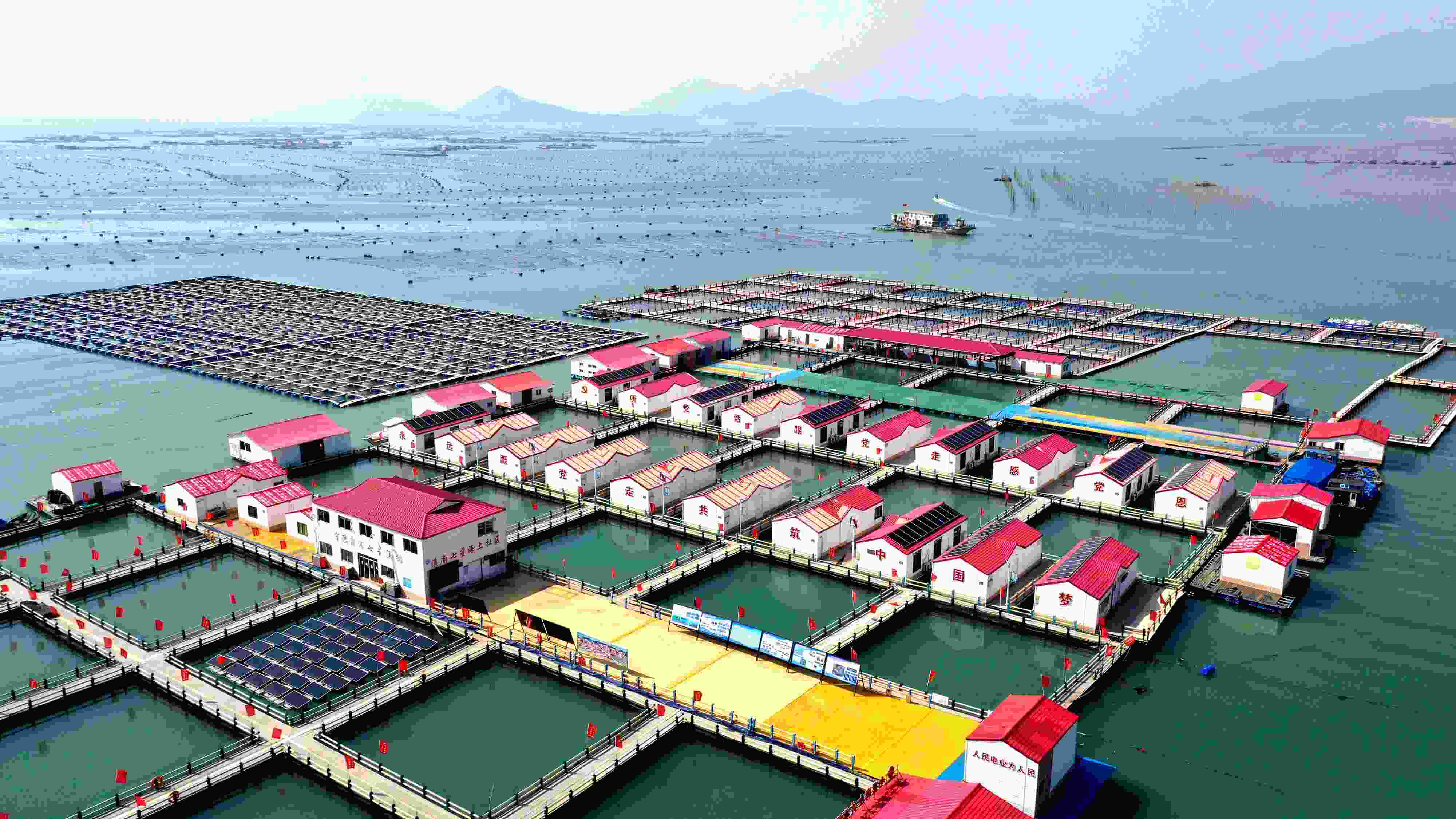 2024年3月20日，福建省寧德市，霞浦縣溪南鎮(zhèn)七星村漁排養(yǎng)殖示范區(qū)，漁民駕駛養(yǎng)殖船進(jìn)行海參養(yǎng)殖作業(yè)。