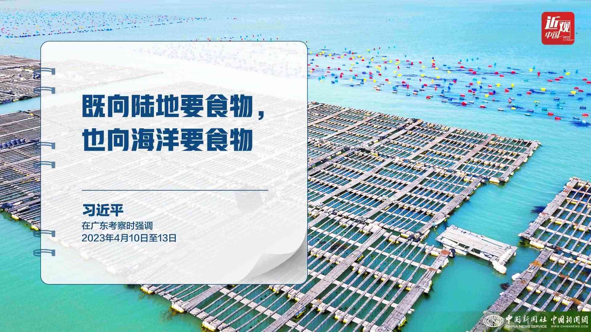 習近平：樹立大食物觀，構(gòu)建多元化食物供給體系