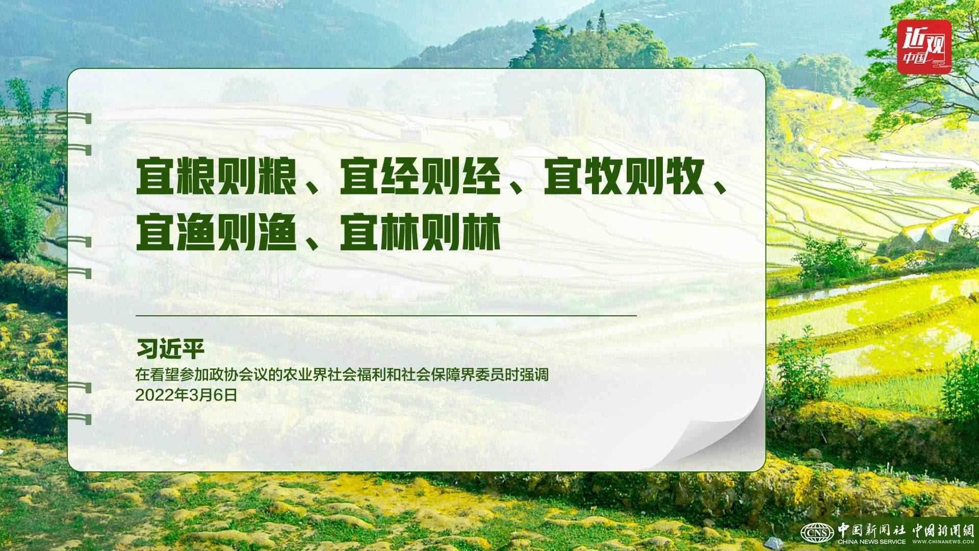 習近平：樹立大食物觀，構(gòu)建多元化食物供給體系