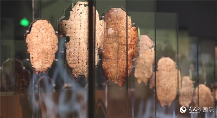 殷墟博物館新館的甲骨展品。人民網(wǎng)記者 劉寧攝