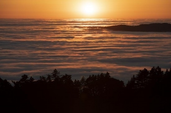 這是5月14日在美國加利福尼亞州馬林縣拍攝的云海。新華社發(fā)（李建國攝）