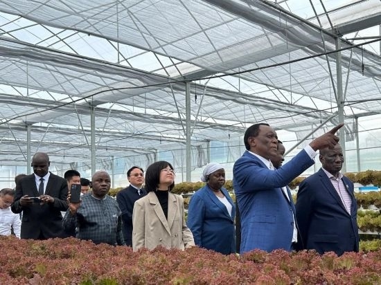 使節(jié)團(tuán)考察貴州省清鎮(zhèn)駱家橋蔬菜保供基地的無(wú)土栽培溫室。新華社記者 袁睿 攝