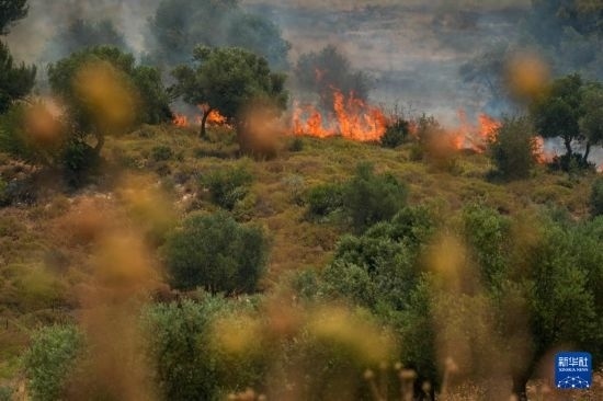 6月12日，以色列北部加利利地區(qū)遭受火箭彈襲擊后冒出滾滾濃煙。新華社發(fā)（阿亞爾·馬戈林攝/基尼圖片社）