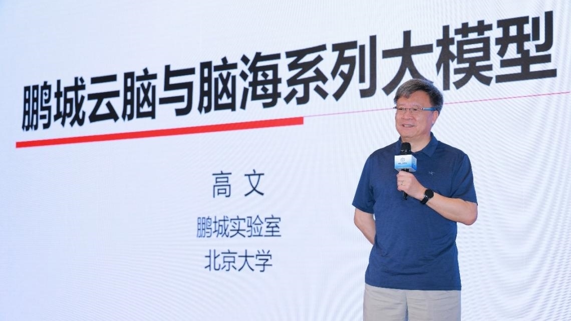 高文院士做大會特邀報告。主辦方供圖