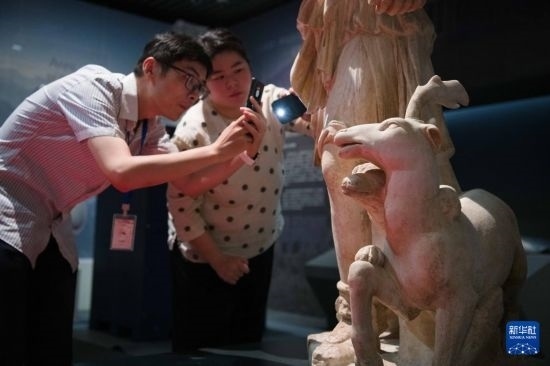 7月2日，安徽博物院工作人員在拍攝開箱后的古希臘文物。新華社記者 張端 攝