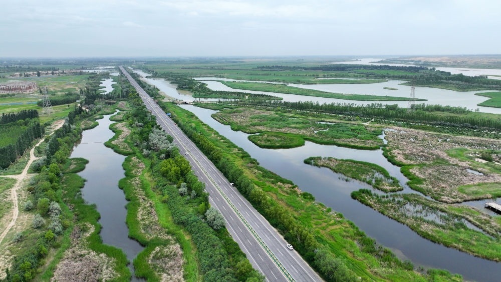 這是2024年6月13日拍攝的黃河寧夏段濱河大道（無人機(jī)照片）。近年來，寧夏努力建設(shè)黃河流域生態(tài)保護(hù)和高質(zhì)量發(fā)展先行區(qū)，全力打好黃河保護(hù)持久戰(zhàn)。新華社記者 王鵬 攝