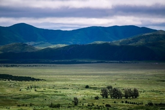 2023年8月4日拍攝的大興安嶺南麓內(nèi)蒙古罕山國家級自然保護區(qū)風光。新華社記者 連振 攝
