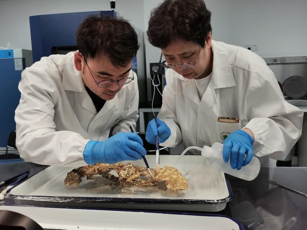 2023年7月，馬燕如（右）帶著魯海子（左）修復(fù)三星堆遺址出土的黃金面具。新華社發(fā)（四川省文物考古研究院供圖）