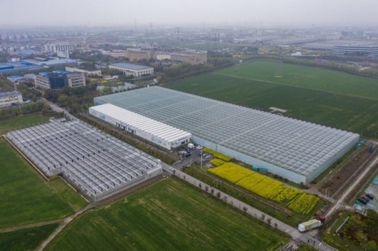 2024年3月28日，空中俯瞰嘉興南湖區(qū)湘家蕩農(nóng)業(yè)數(shù)字化工廠（無(wú)人機(jī)照片）。該農(nóng)業(yè)數(shù)字化工廠占地總面積約62畝，包含智慧農(nóng)業(yè)生產(chǎn)、物聯(lián)網(wǎng)智能管理、自動(dòng)分揀包裝、保鮮儲(chǔ)藏物流、高科技示范展示等五大功能區(qū)，可直接或間接培養(yǎng)帶動(dòng)新型職業(yè)技術(shù)農(nóng)民500人以上。新華社記者 徐昱 攝