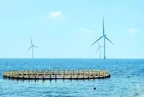 △山東萊州風(fēng)電項目實現(xiàn)了海上風(fēng)電和海洋牧場融合發(fā)展。