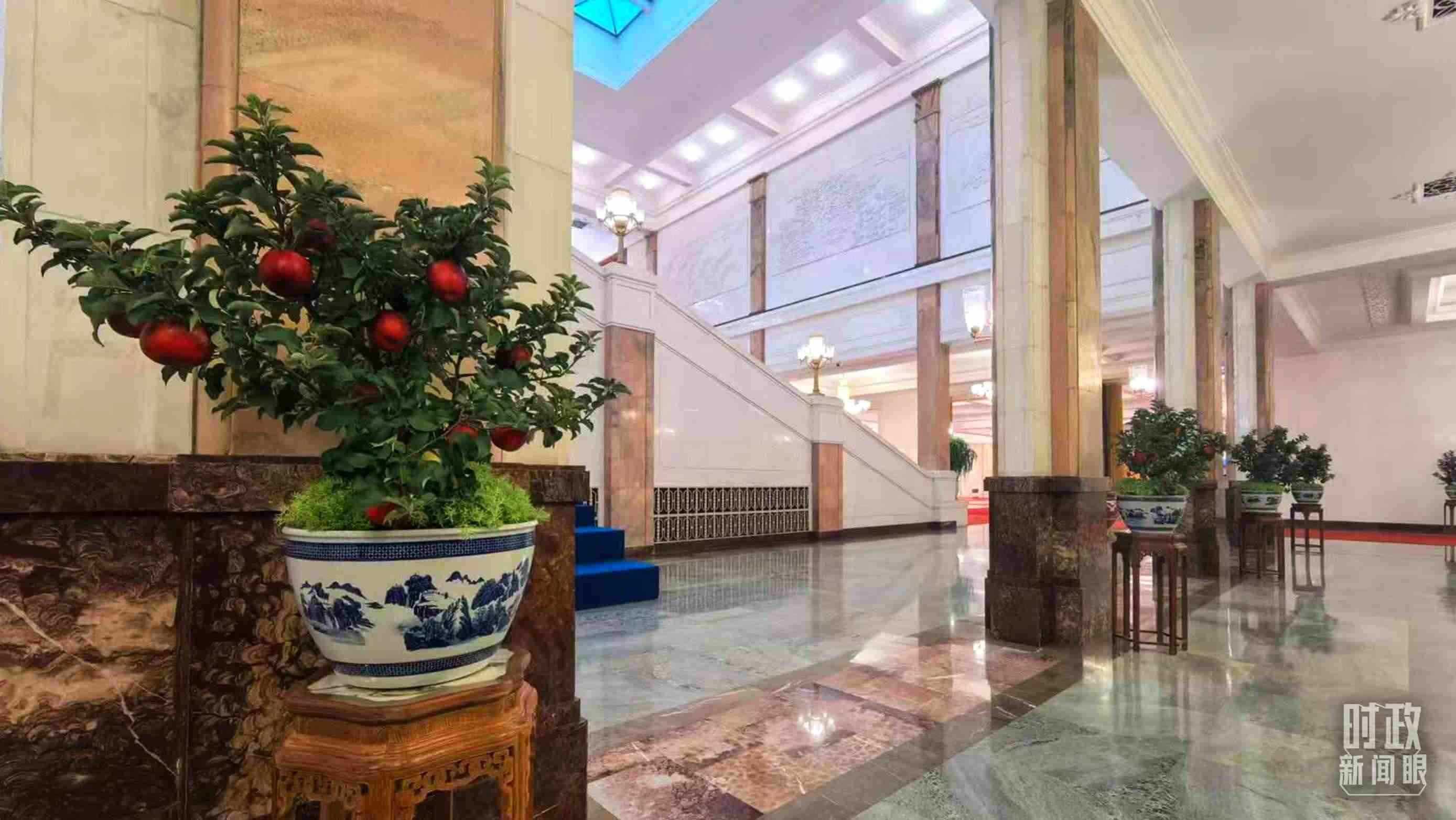  △大會(huì)堂內(nèi)的“碩果累累”盆栽。（總臺(tái)國(guó)廣記者吳倩拍攝）