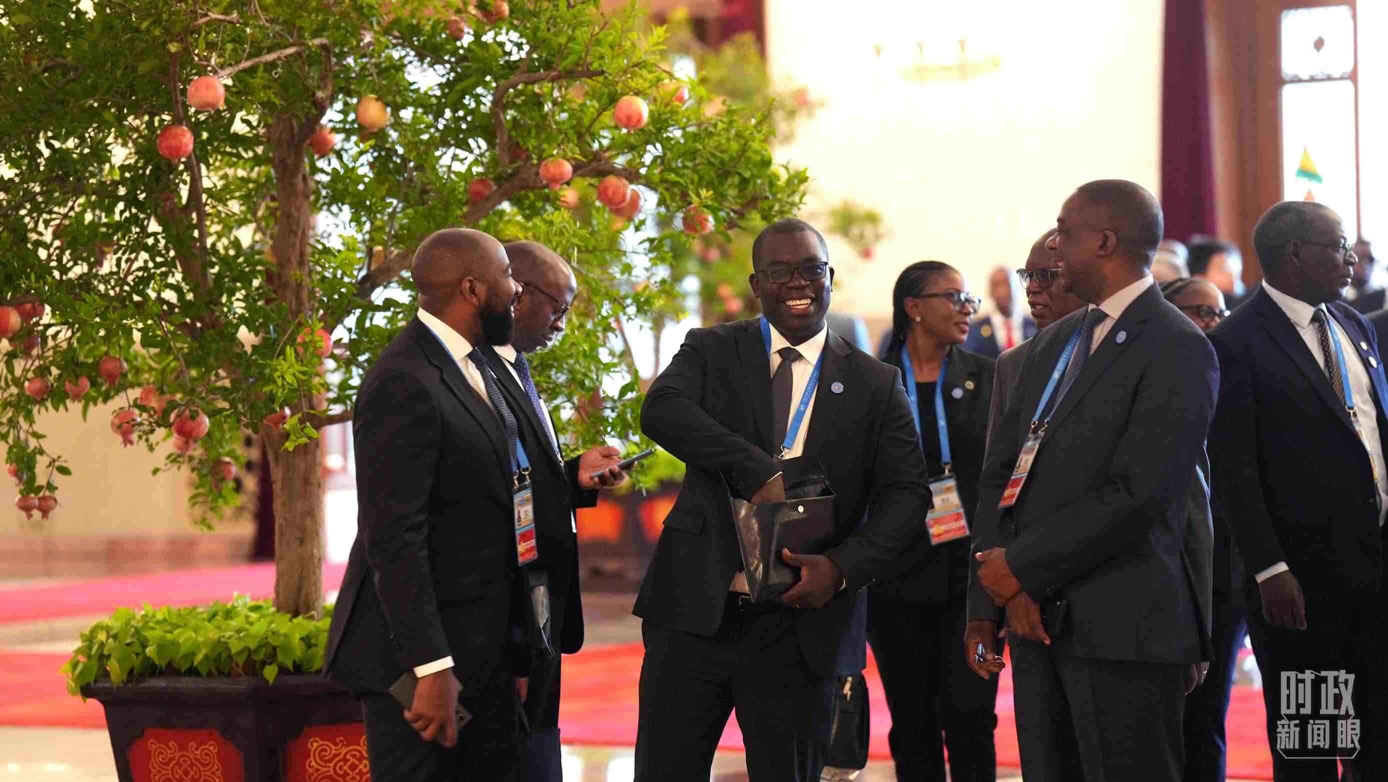 出席中非合作論壇北京峰會(huì)的非洲國(guó)家代表。（總臺(tái)記者李晉拍攝）