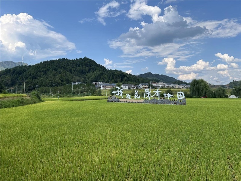 青瓦白磚的黔北民居、風(fēng)中搖曳的稻田、抬手可觸的大片云朵……才剛下車，格魯吉亞“經(jīng)濟(jì)中心網(wǎng)”總編輯莉安娜·喬爾喬利亞尼就被眼前的景色拖住了步履，喃喃細(xì)語：“實(shí)在太美了，讓我內(nèi)心平靜，在這里生活一定非常安逸和幸福。”（邱輝攝）