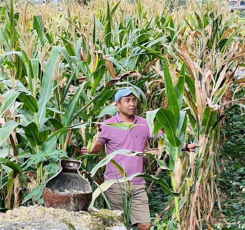 不是攀登石林高臺(tái)，就是鉆入玉米莊稼地，吉爾吉斯斯坦《自由之山報(bào)》總編輯納拉雷·阿桑巴耶夫“身手不凡”，與生長(zhǎng)旺盛的玉米構(gòu)成了花茂村的鄉(xiāng)間野趣。（張亞欣攝）