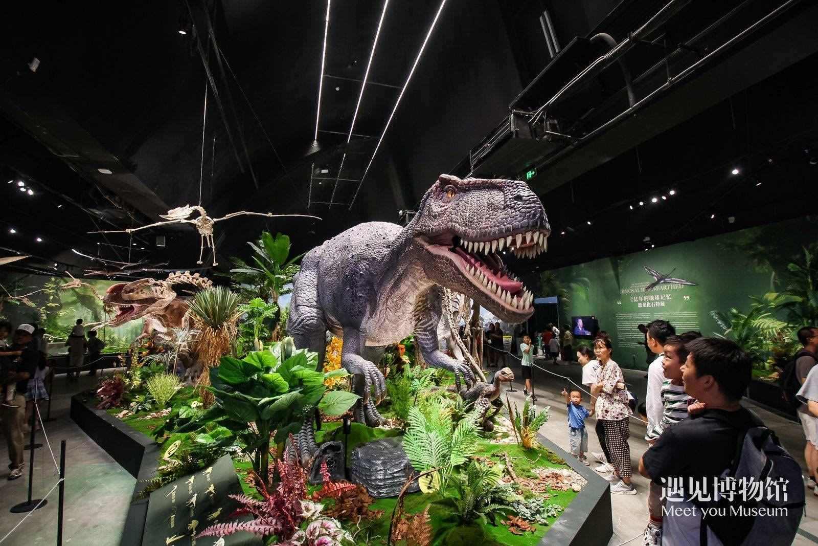 2. 游客參觀“2億年的地球記憶——恐龍化石特展”。遇見博物館供圖