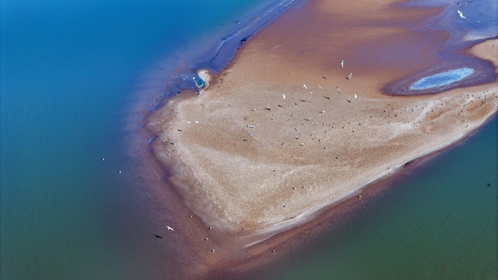 2024年3月1日拍攝的黃河寧夏段（無人機照片）。
