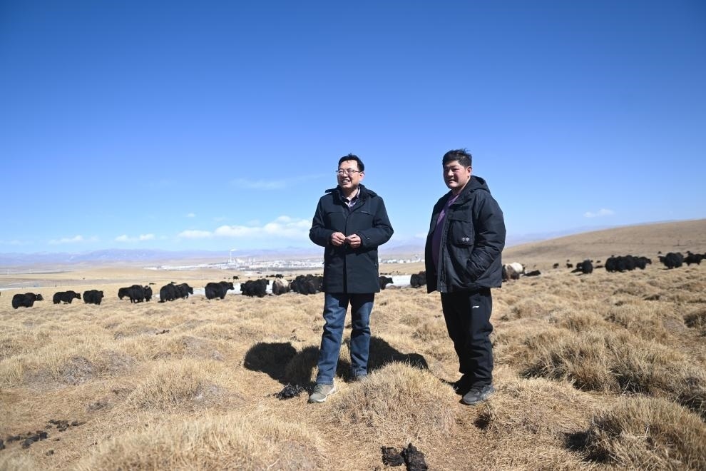 2023年2月24日，在青海省海北藏族自治州海晏縣青海湖鄉(xiāng)達(dá)玉日秀村，全國(guó)人大代表董全民（左）查看牧民東知布家的草場(chǎng)。新華社記者 張龍 攝