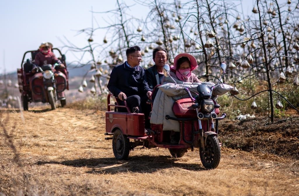 全國(guó)人大代表袁海波（右三）在云南省曲靖市馬龍區(qū)一種植基地了解務(wù)工人員就業(yè)需求（2023年2月11日攝）。新華社記者 江文耀 攝
