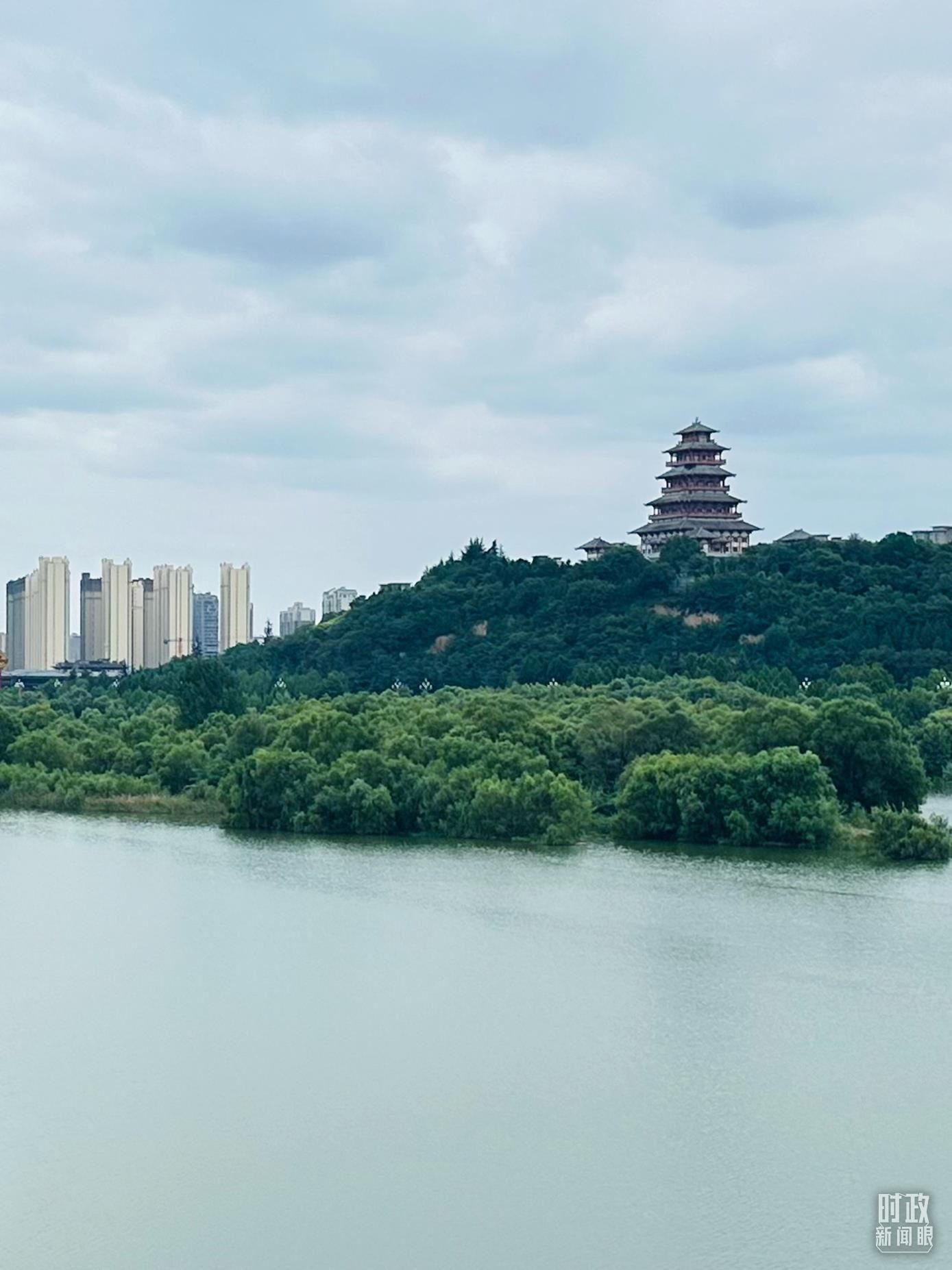 △渭河寶雞段長(zhǎng)224公里，目前建成17處渭河灘區(qū)生態(tài)涵養(yǎng)區(qū)。（總臺(tái)央視記者范一鳴拍攝）