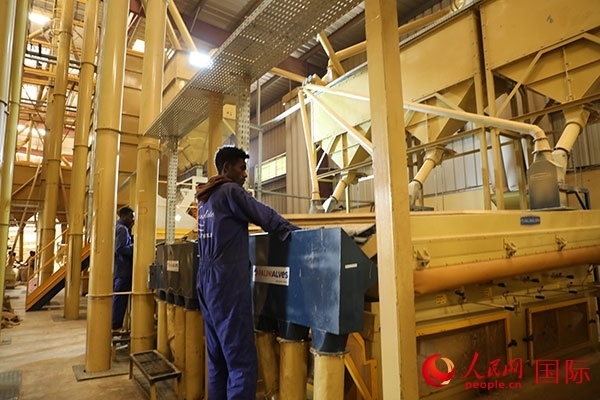 在Bule Hora咖啡加工廠里工作的當(dāng)?shù)毓と藗儭Ｈ嗣窬W(wǎng)記者 沈小曉攝