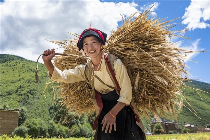 康定市甲根壩鎮(zhèn)青稞豐收，農(nóng)牧民臉上洋溢著豐收的喜悅。林革文攝