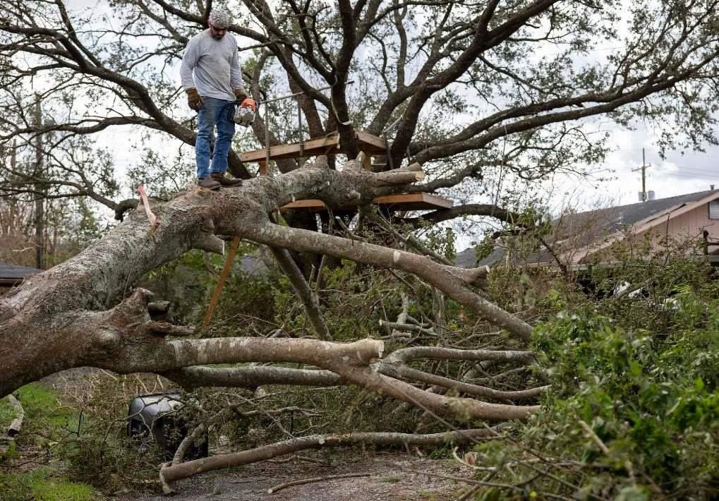 2021年8月30日，在美國路易斯安那州霍馬，一名男子站在被颶風吹倒的大樹上。新華社發(fā)（尼克·瓦格納 攝）