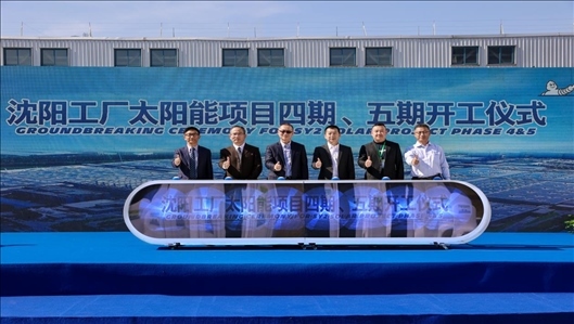 現場活動圖。主辦方供圖