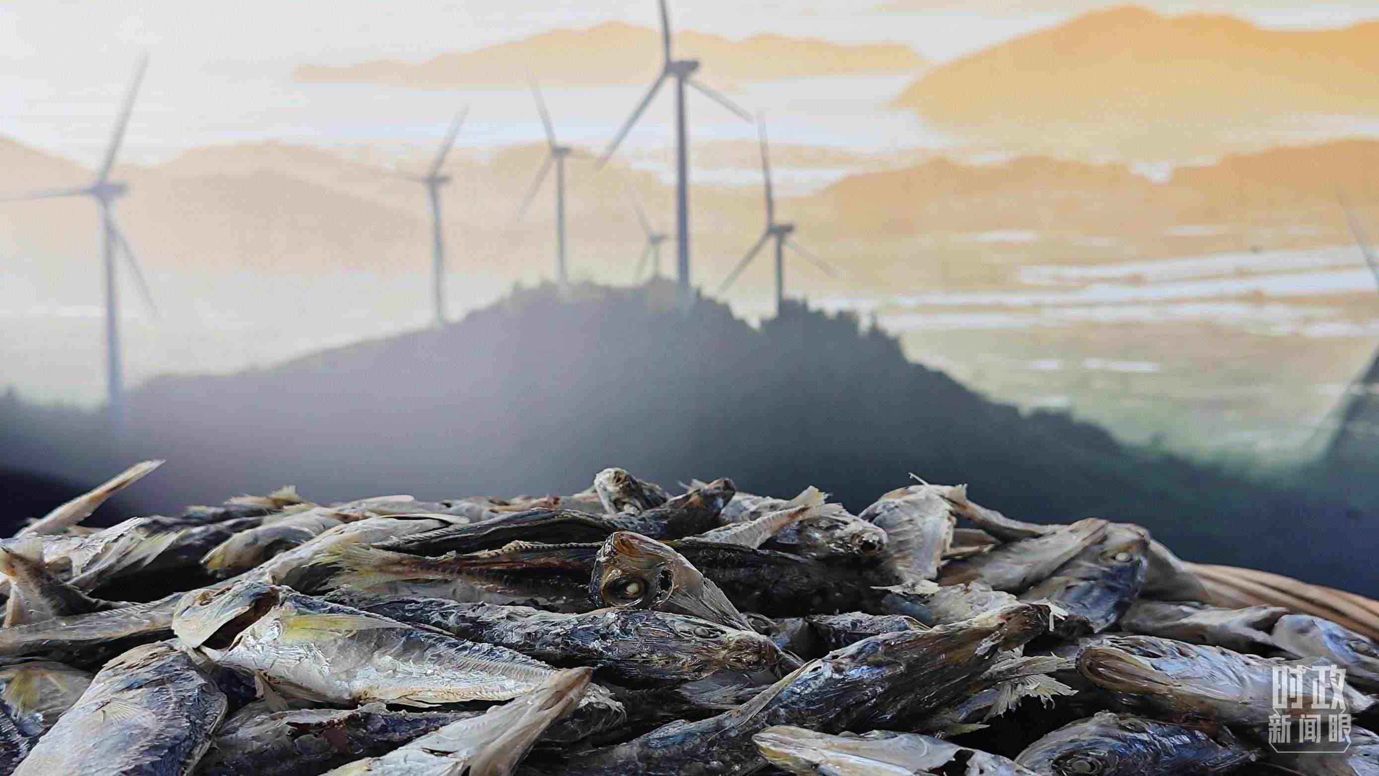 △澳角村的海產(chǎn)品。（總臺(tái)央視記者許永松拍攝）