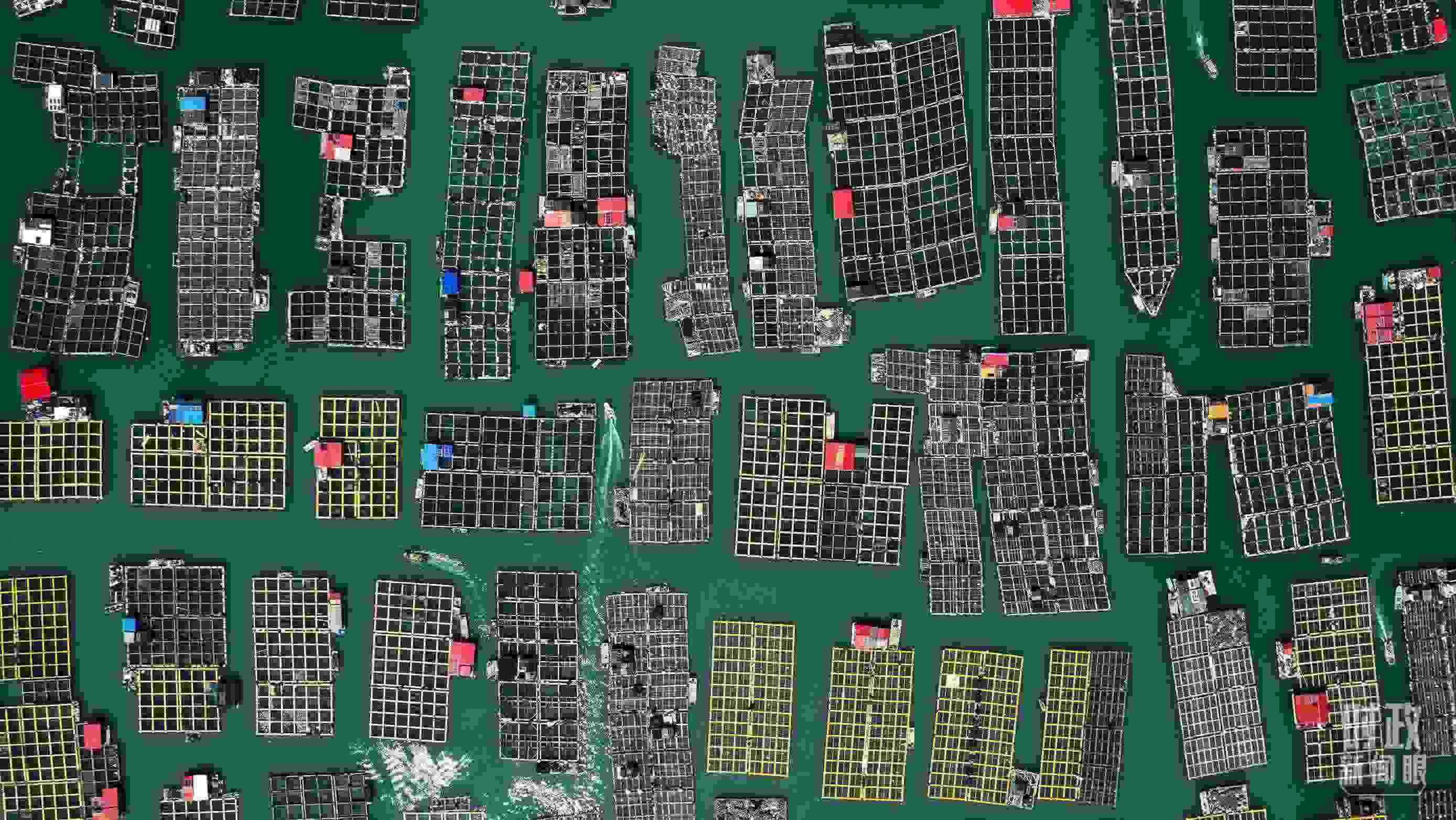 △澳角村。（總臺(tái)記者李晉拍攝）