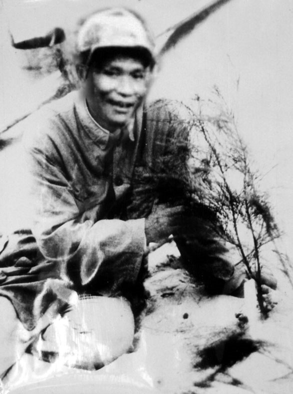 谷文昌與試種成活的木麻黃（資料照片）。為了治沙，谷文昌爬遍了東山縣400多個(gè)山頭，踏遍了30多公里的沙灘，終于帶領(lǐng)東山人民試種木麻黃成功。