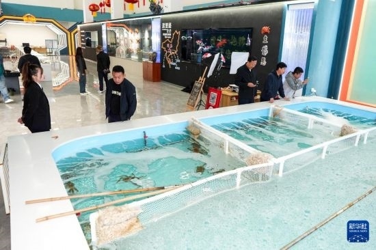 9月20日，游客在吉林省琿春市的帝王蟹保稅店內(nèi)選購帝王蟹。新華社記者 許暢 攝