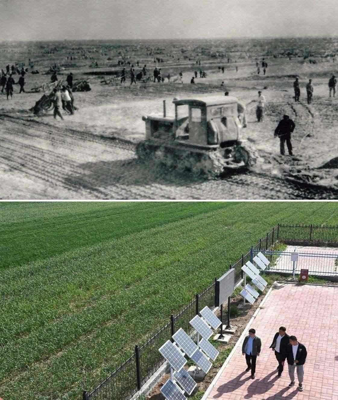 上圖為二十世紀(jì)六十年代蘭考改造鹽堿地的情景（資料照片）；下圖為2024年4月18日拍攝的蘭考縣紅廟鎮(zhèn)高標(biāo)準(zhǔn)農(nóng)田示范區(qū)。（新華社記者 朱祥 攝）