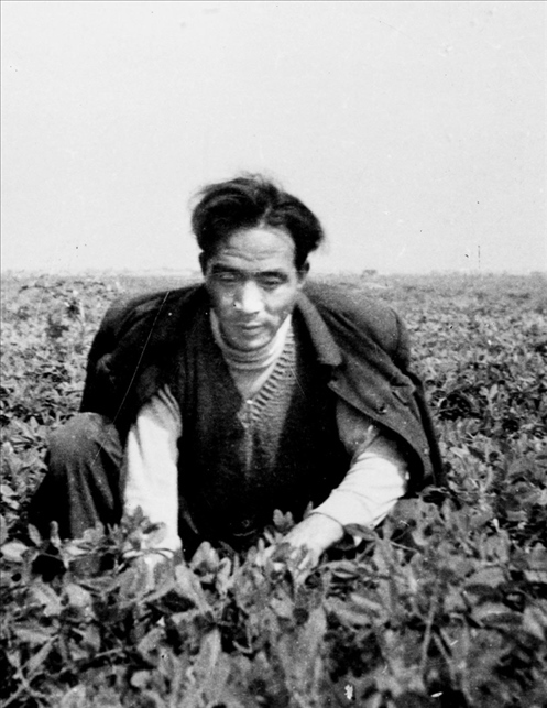 在蘭考期間，焦裕祿在田間勞動(dòng)的情景。