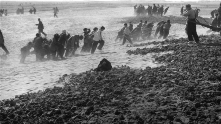 蘭考群眾在拉淤土壓沙。（新華社記者 鄧歷耕 攝）