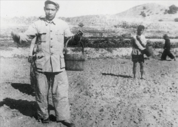 △ 谷文昌在福建省東山縣坑北村參加播種。