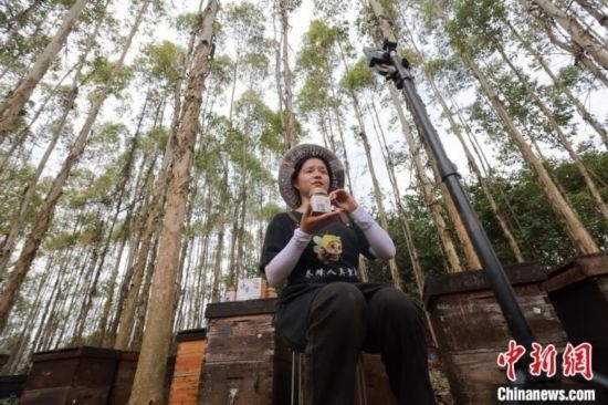 吳素英在網(wǎng)絡(luò)平臺(tái)直播介紹蜜蜂和養(yǎng)蜂情況。湯曉逵 攝