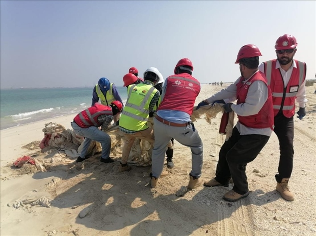 中國(guó)電建員工在撿拾海灘垃圾。中國(guó)電建供圖