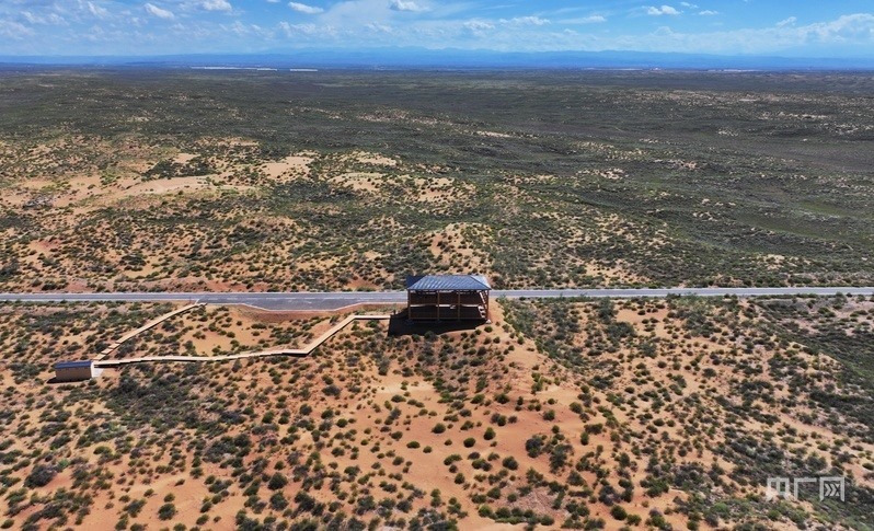 古浪縣一代代人治沙不息，讓綠色向沙漠深處不斷延伸（央廣網(wǎng)記者 李紅軍 攝）