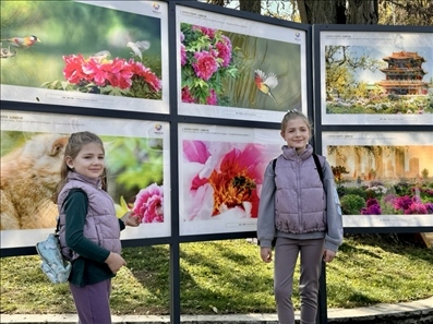 活動現(xiàn)場。中國駐保加利亞大使館供圖。