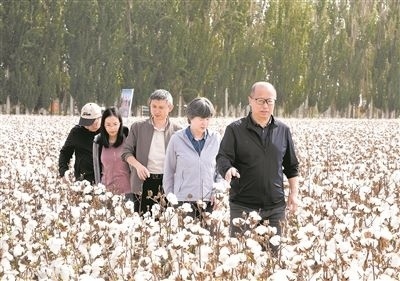 李召虎團(tuán)隊(duì)成員在棉田了解試驗(yàn)情況。 受訪單位供圖