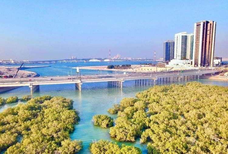 圖為瑞姆橋施工現(xiàn)場。中國土木供圖