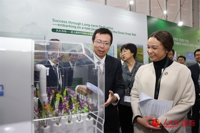 嘉賓參觀中國館。人民網(wǎng)記者任皓宇攝