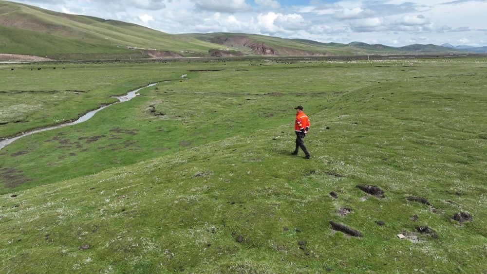 9月24日，生態(tài)管護員那瓦才郎在草場上巡護。（受訪者供圖）