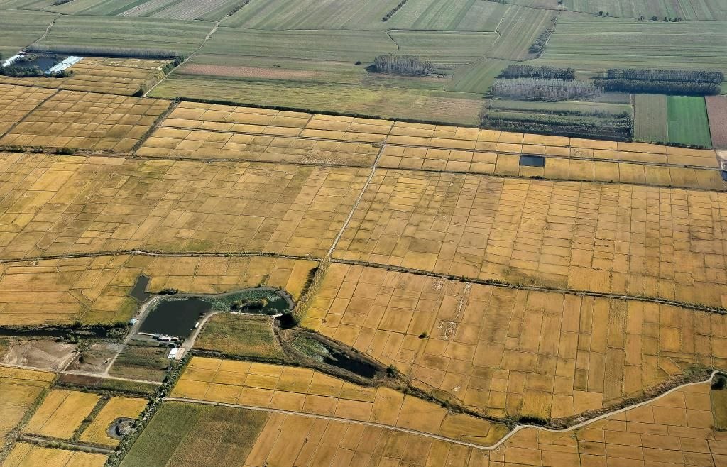 俯瞰黑龍江省哈爾濱市一處稻田（10月2日攝，無人機照片）。新華社記者 孫曉宇 攝