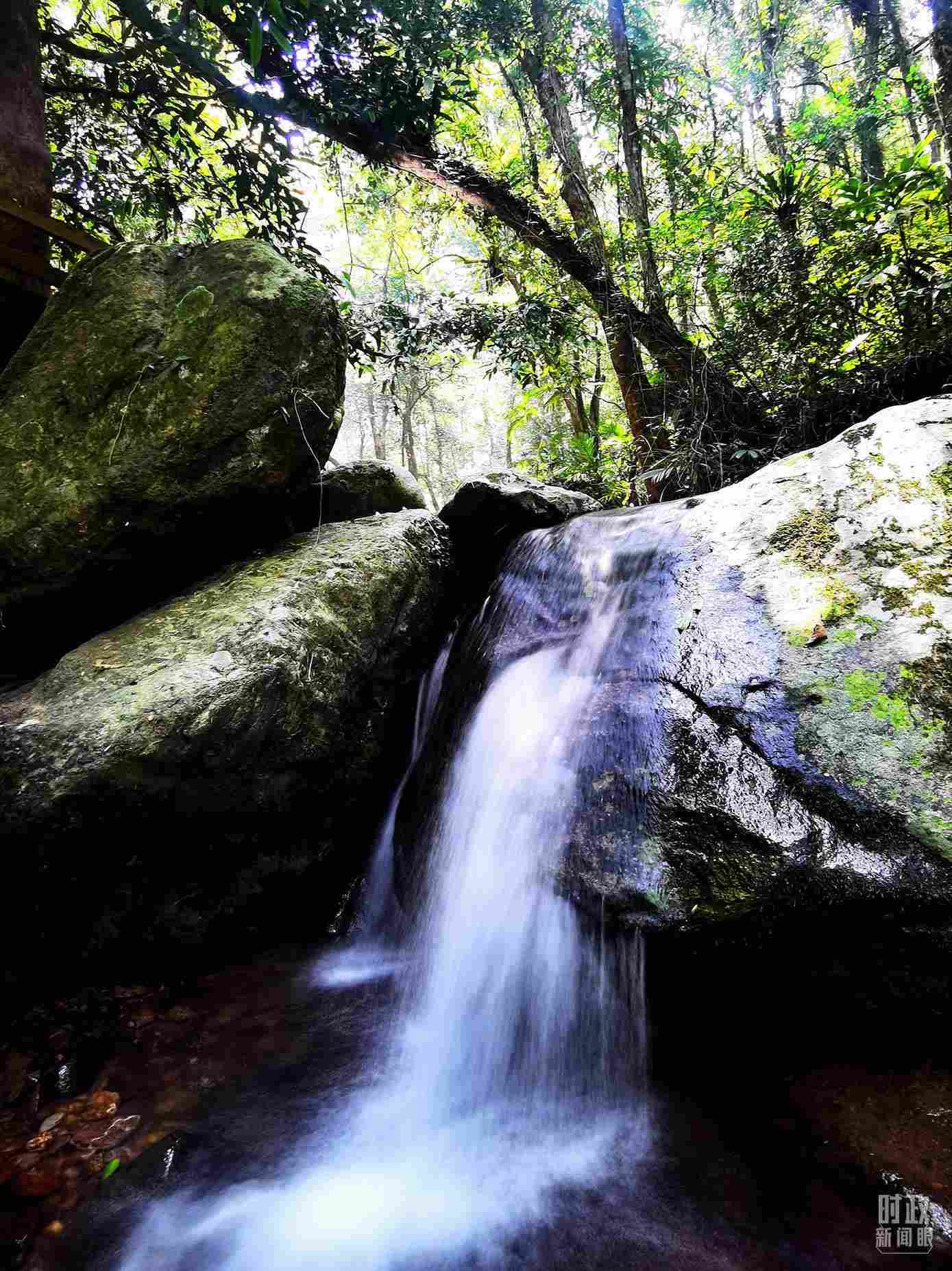 海南五指山。（總臺央視記者劉琦拍攝）