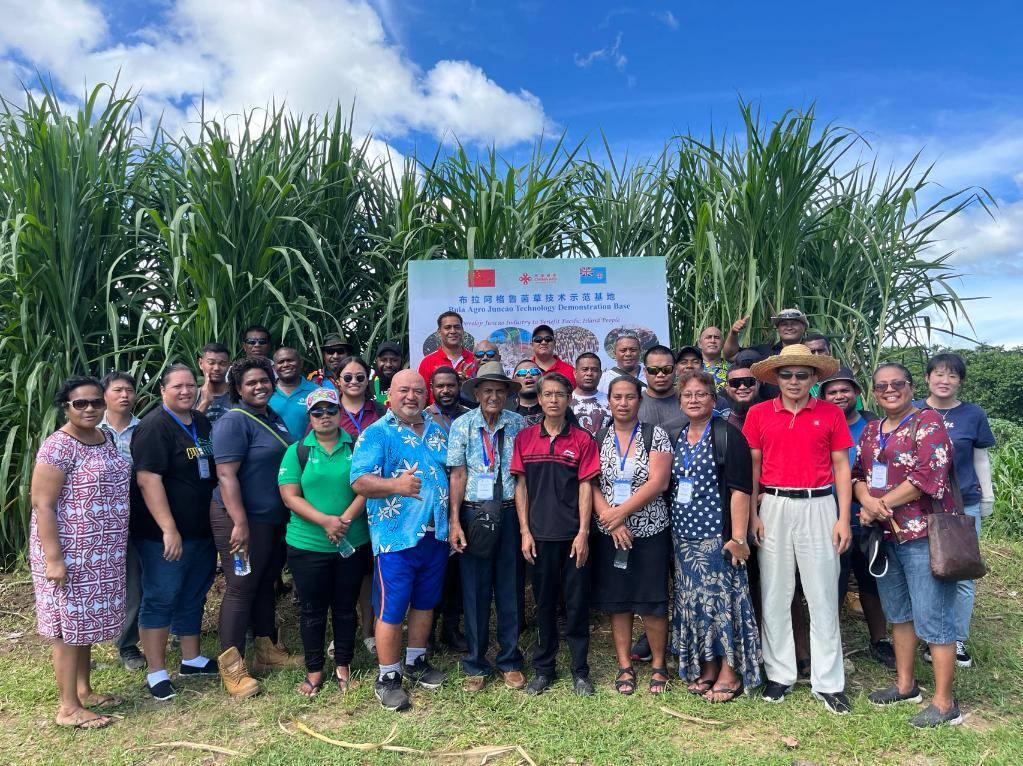 2024年2月28日，來(lái)自巴布亞新幾內(nèi)亞、湯加、庫(kù)克群島、薩摩亞、瑙魯?shù)葒?guó)家的“太平洋島國(guó)菌草技術(shù)培訓(xùn)班”學(xué)員在斐濟(jì)布拉阿格魯菌草技術(shù)示范基地合影。新華社發(fā)（中國(guó)援斐濟(jì)菌草技術(shù)示范中心供圖）