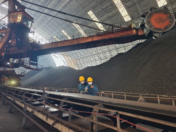 趙善國（右）和同事對電廠煤場進行巡檢。受訪者供圖