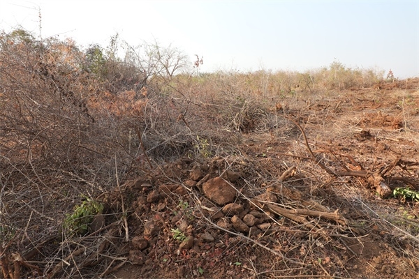 施工現(xiàn)場(chǎng)。張曉昆攝